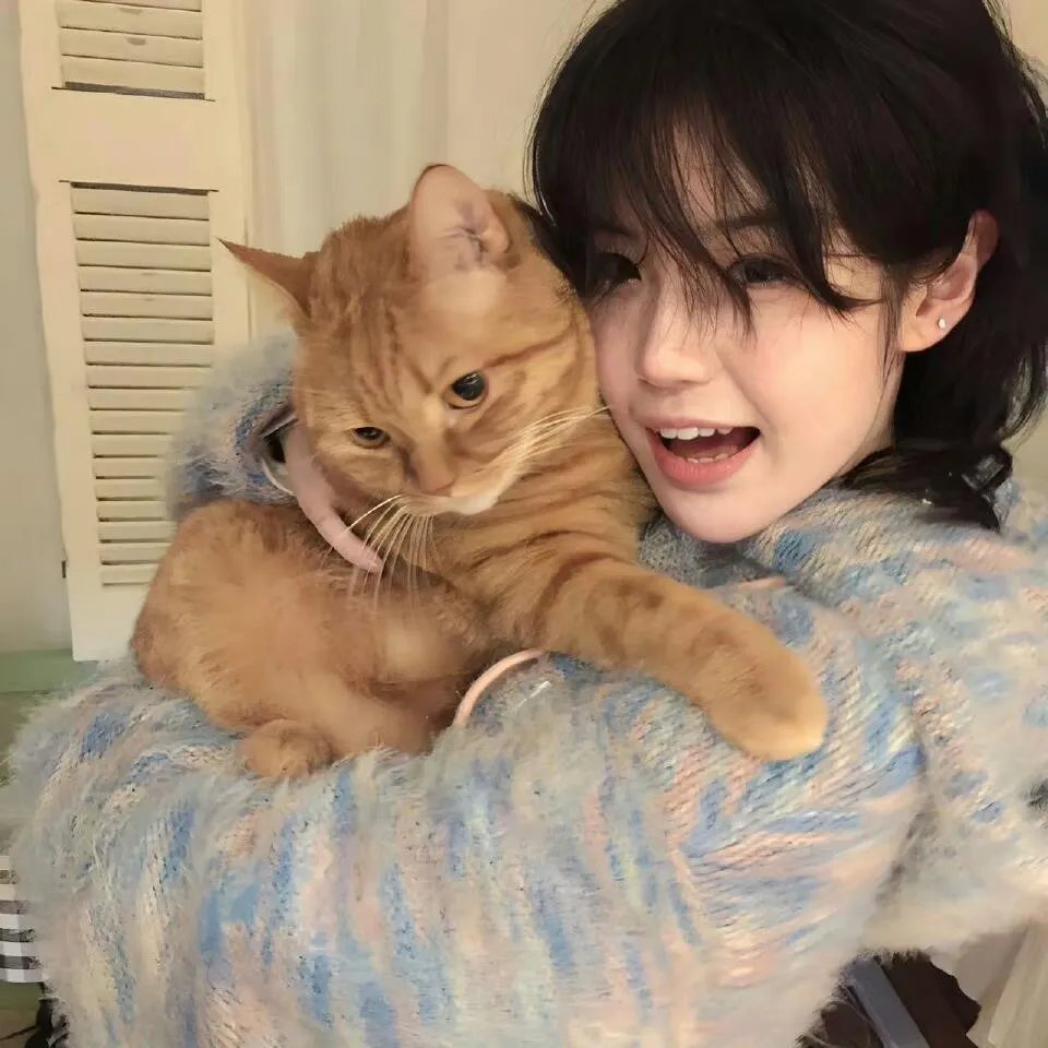 美利坚的维纳斯